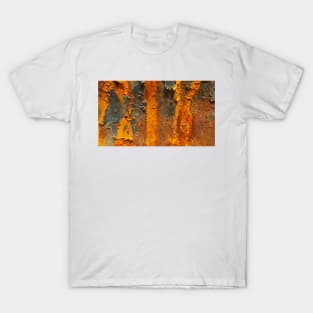 Natures RUST ART Patterns number FOUR T-Shirt